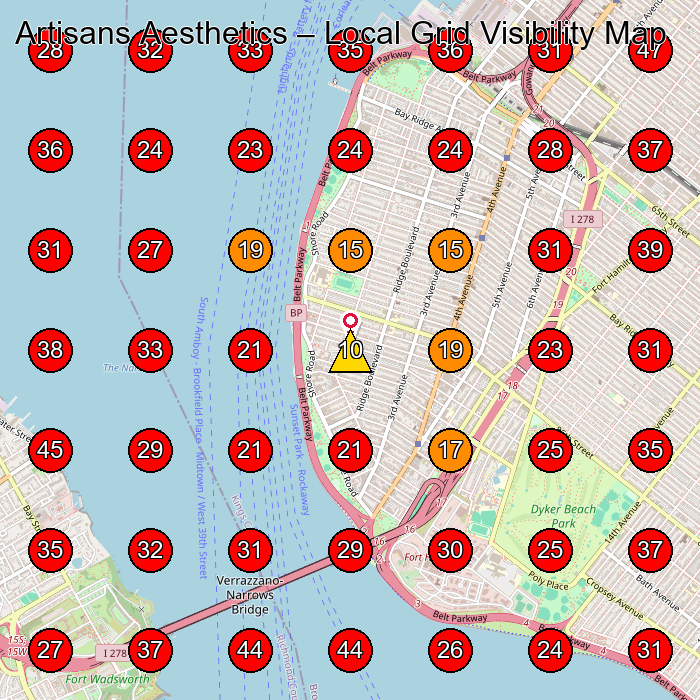 Artisans Aesthetics GeoGrid visibility map for Medical Spa in Brooklyn